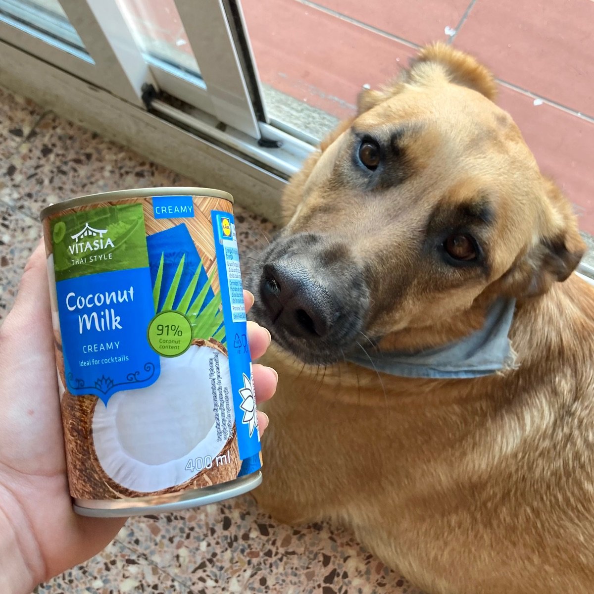 VitAsia Coconut milk creamy Reviews abillion