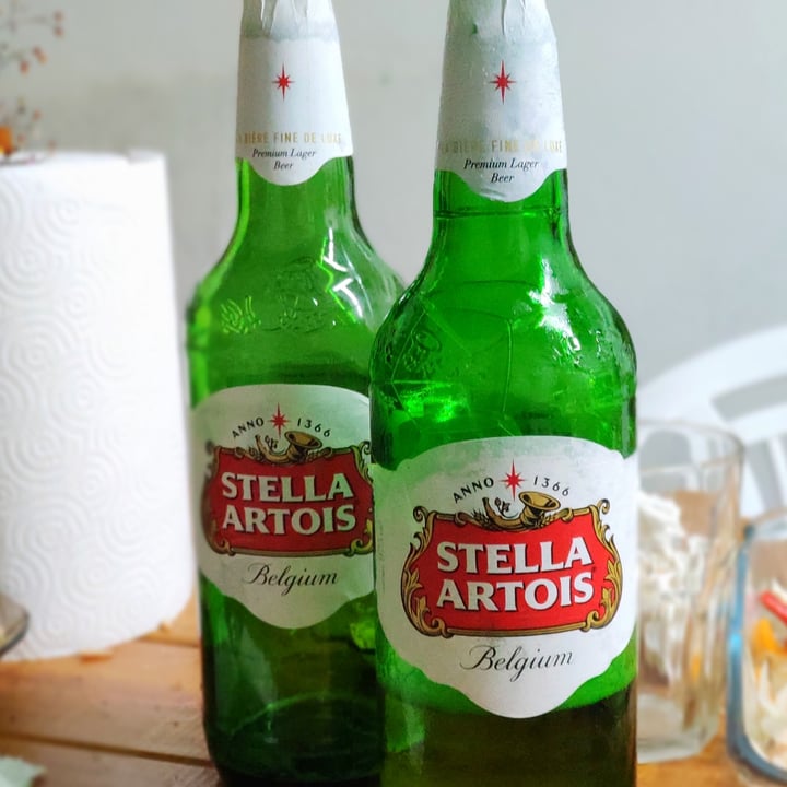 photo of Stella Artois Cerveza shared by @melinacmansilla on  20 Dec 2020 - review