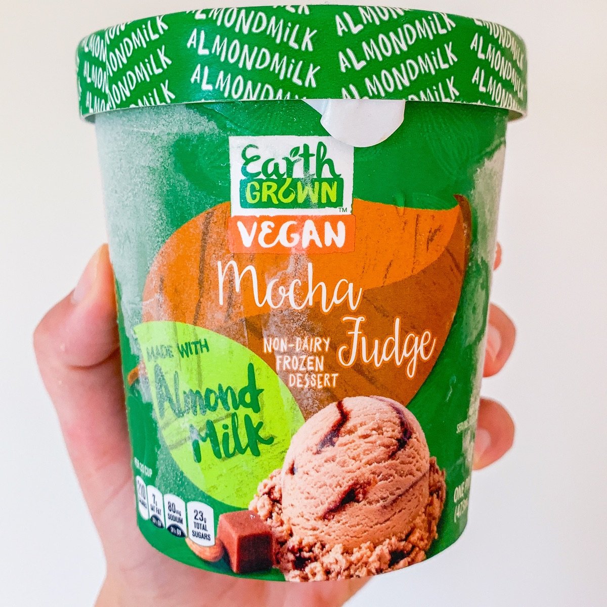 Earth Grown Mocha Fudge NonDairy Frozen Dessert Reviews abillion