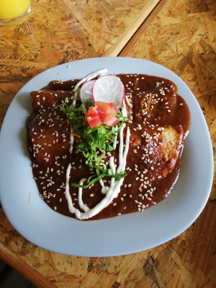 review photo of Ramé Fonda Vegana Enmoladas shared by @mono on 16 Sep 2019 - review