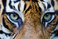 speciesamused @speciesamused profile image