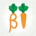 betacarotena @betacarotena profile image