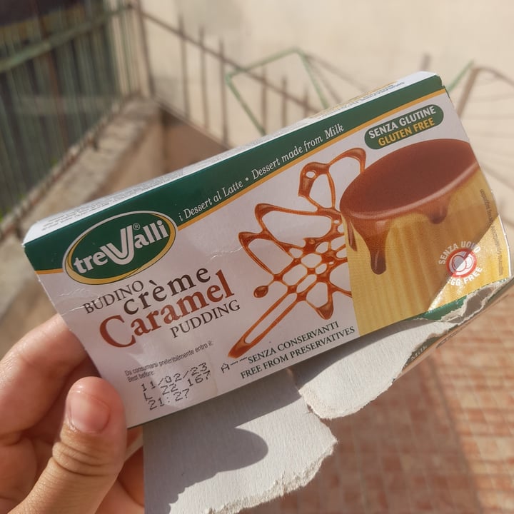 photo of Trevalli budino caramel shared by @eleonorandrea on  17 Aug 2022 - review