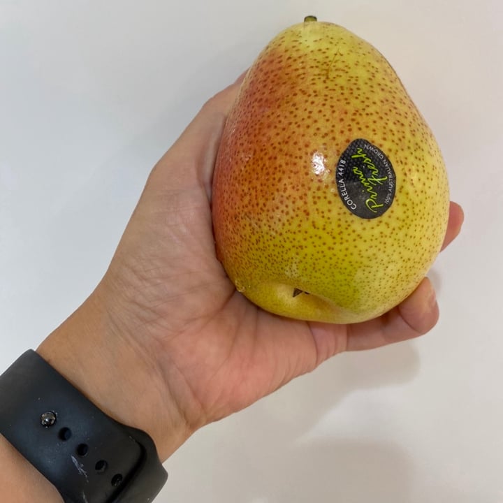 photo of Prima Fresh Corella Pear shared by @piggy-egg on  20 Jul 2022 - review