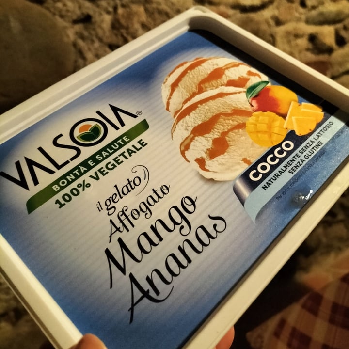 photo of Valsoia Gelato affogato mango ananas shared by @raffa70s70 on  28 Jul 2022 - review