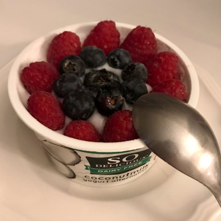 photo of So Delicious Dairy Free Unsweetened Coconut Milk Yogurt Alternative shared by @kyu on  13 Dec 2022 - review