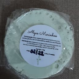 Artesanato da Mata