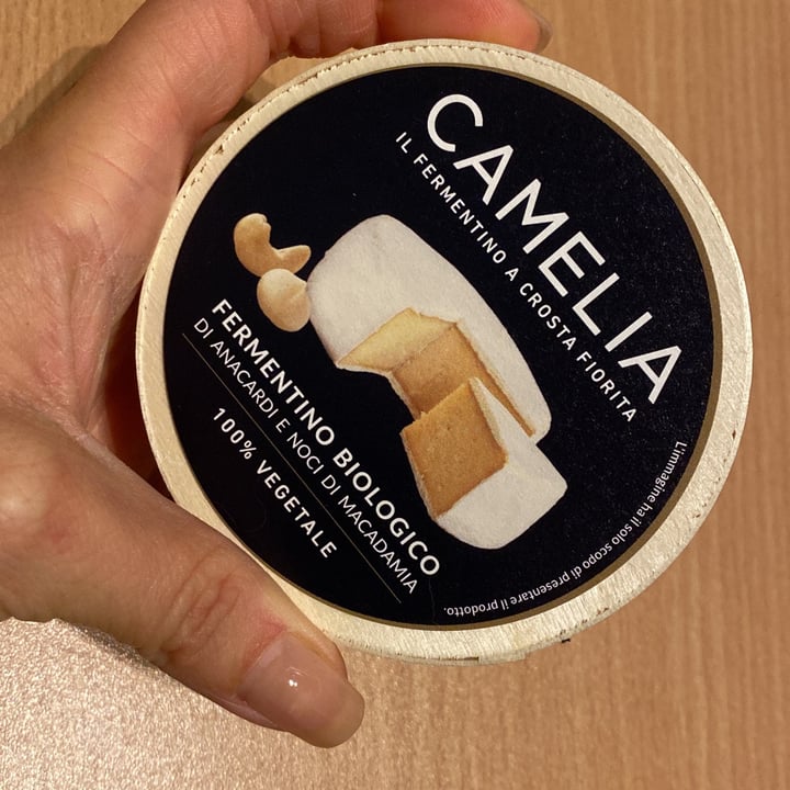 photo of Camelia Fermentino a crosta fiorita shared by @millammiles on  24 Feb 2022 - review