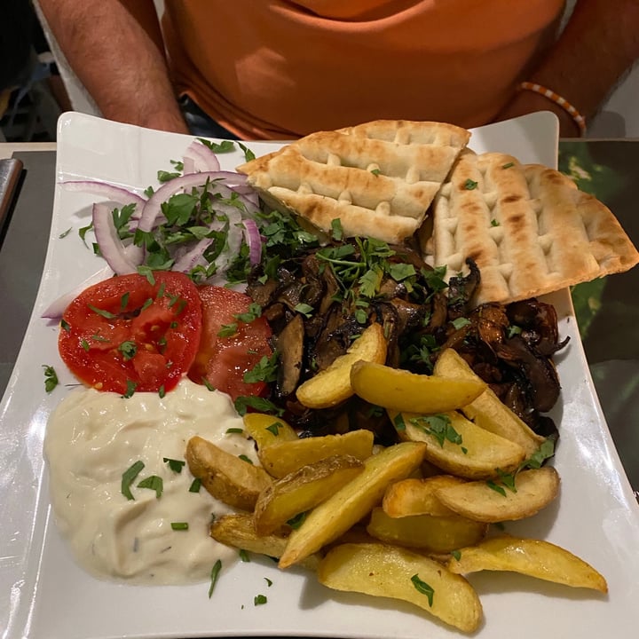 photo of Mother Earth - Healthy Vegan & Vegetarian Restaurant Vegan Gyros Plate shared by @allesio on  02 Aug 2021 - review