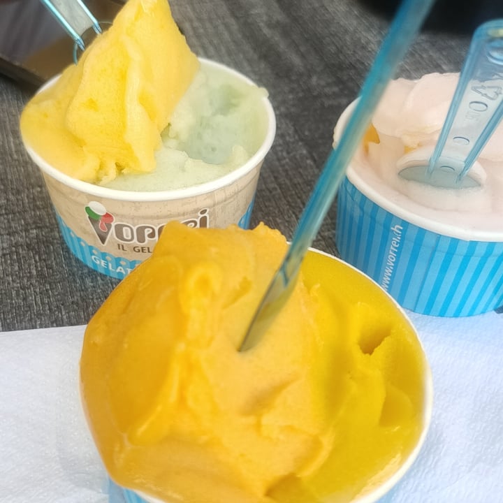 photo of GELATERIA VORREI s.n.c. Gelato shared by @rebenap on  27 May 2022 - review