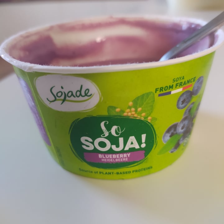 review photo of Soyade So Soya Blueberry shared by @effeffe on 25 Aug 2022 - review