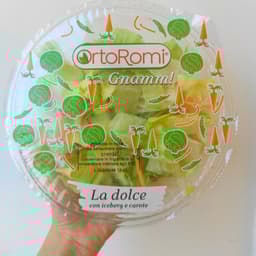 Ortoromi soc. coop. Agr.