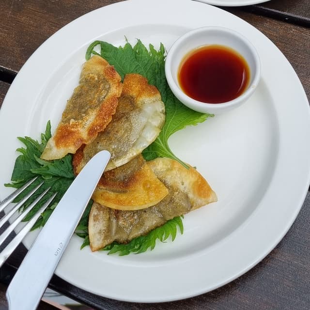 Photo of the dish “Gyoza”
