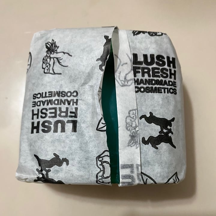 LUSH Fresh Handmade Cosmetics Sea Vegetable Review abillion