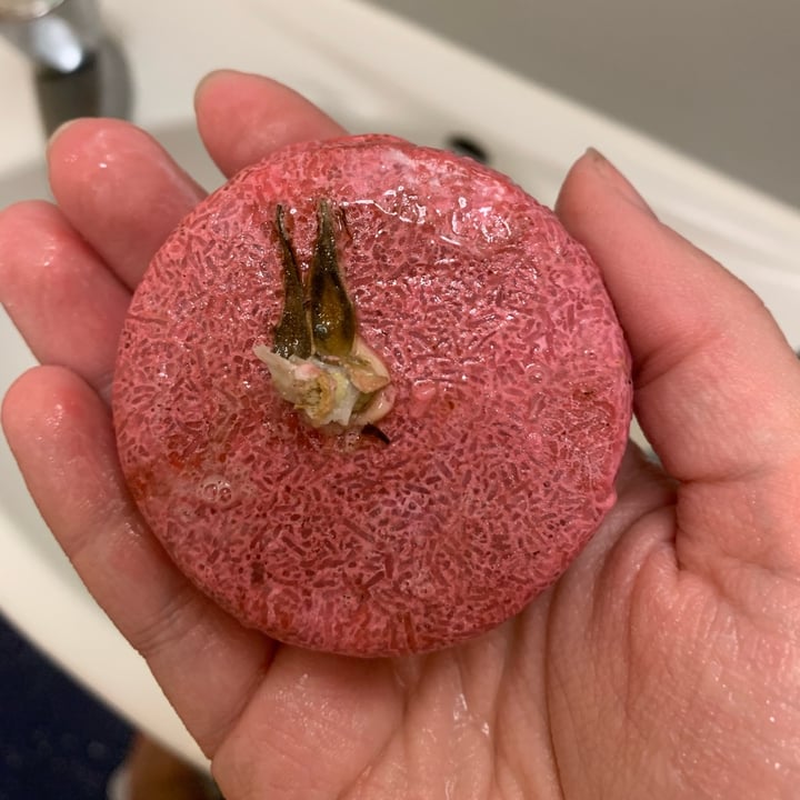 review photo of LUSH Fresh Handmade Cosmetics Angel Hair Shampoo Bar shared by @fvlickerofhope on 06 May 2022 - review