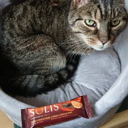 Lifeplus