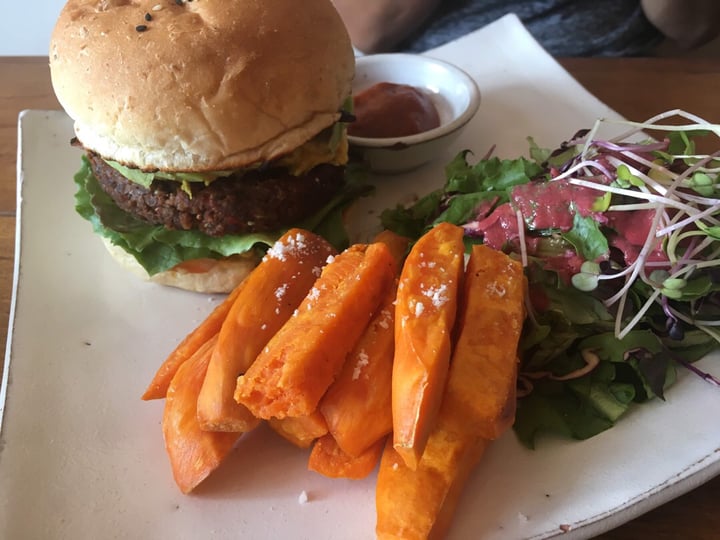 photo of VIBE Cafe BBQ Cheese Burger shared by @lennya68 on  20 Apr 2019 - review