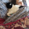 @caticaruso profile image