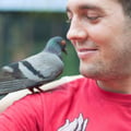 mikebroadhead @mikebroadhead profile image