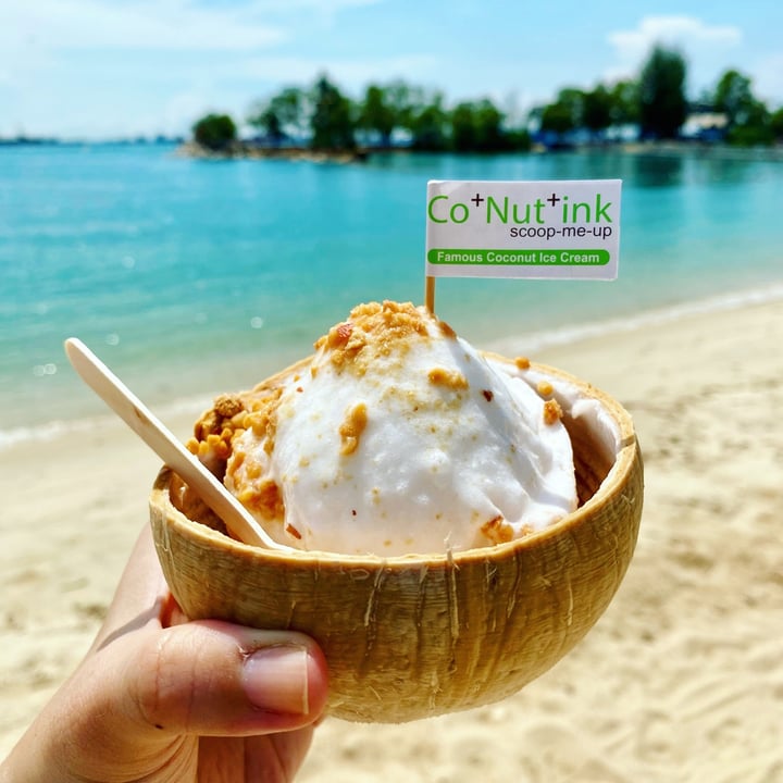 photo of Co-Nut-Ink Signature classic coconut ice cream shared by @erialc on  29 Apr 2021 - review
