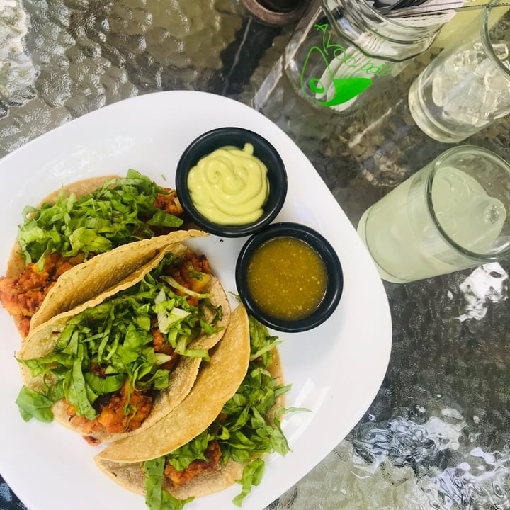 photo of Avocado Vegetariano Tacos De Choripapa Veganos shared by @ileanapalma on  15 Jul 2020 - review