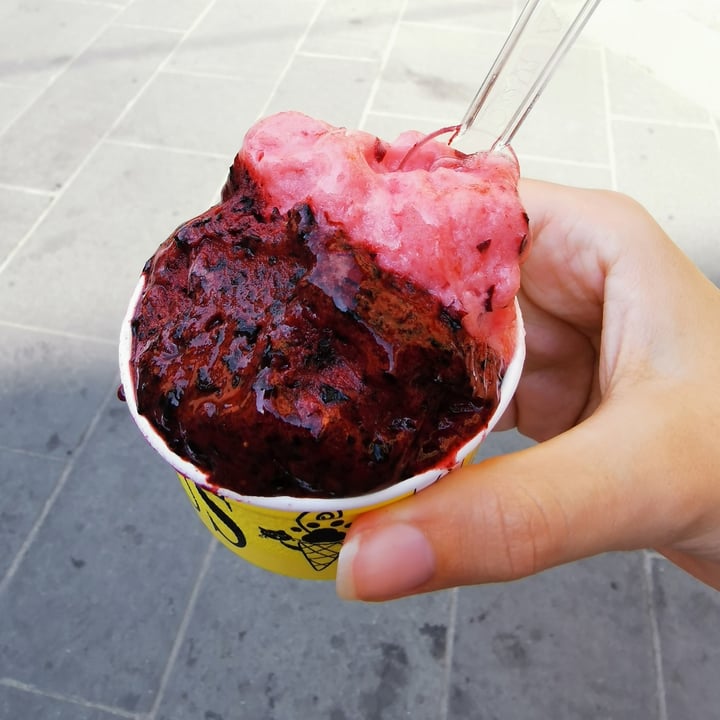 review photo of Gelateria Artigianale Rufus Gelato Mirtilli, Susine E Fondente shared by @nandino on 22 Aug 2021 - review