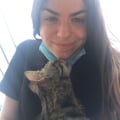 ssipaneka @ssipaneka profile image