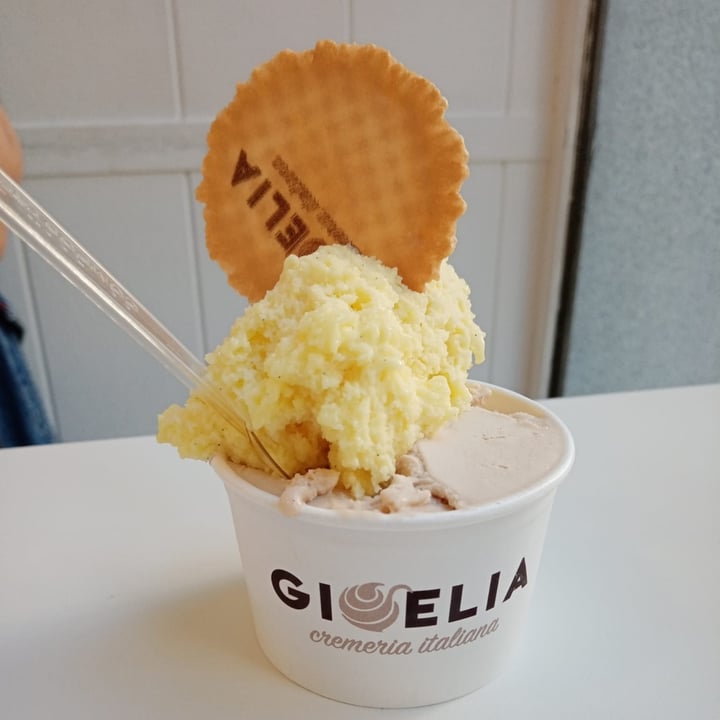 review photo of GIOELIA, Heladería Madrid - Atocha Helado de Avellana y Vainilla Veganos shared by @nostoc on 26 May 2022 - review