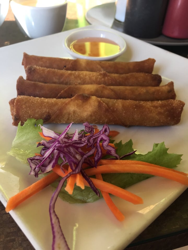 photo of Tamarind Vietnamese Grill & Noodle House Spring Rolls shared by @shoppegirl168 on  07 Sep 2019 - review
