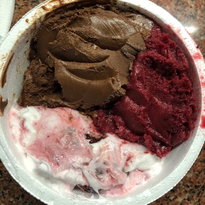 review photo of Patagonia danuë Helado chocolate, frutos rojos shared by @cbartoli on 08 May 2021 - review