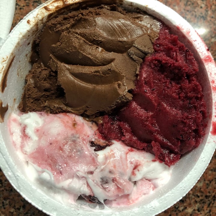 photo of Patagonia danuë Helado chocolate, frutos rojos shared by @cbartoli on  08 May 2021 - review