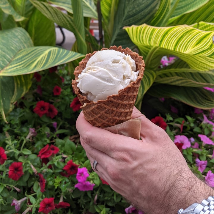 review photo of Honey’s Ice Cream Atlantic Salted Caramel Ice cream shared by @iamabunny on 08 Aug 2021 - review