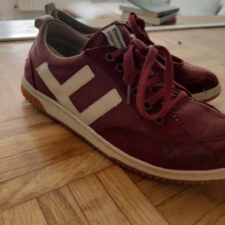 review photo of Flamingos' Life Zapatillas veganas shared by @natalibeli on 06 Aug 2021 - review