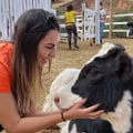 isamonteiroliveira @isamonteiroliveira profile image