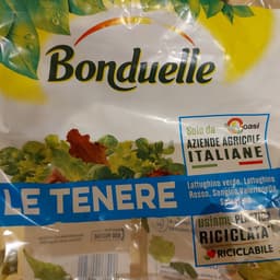 bonduelle mix lattugoso