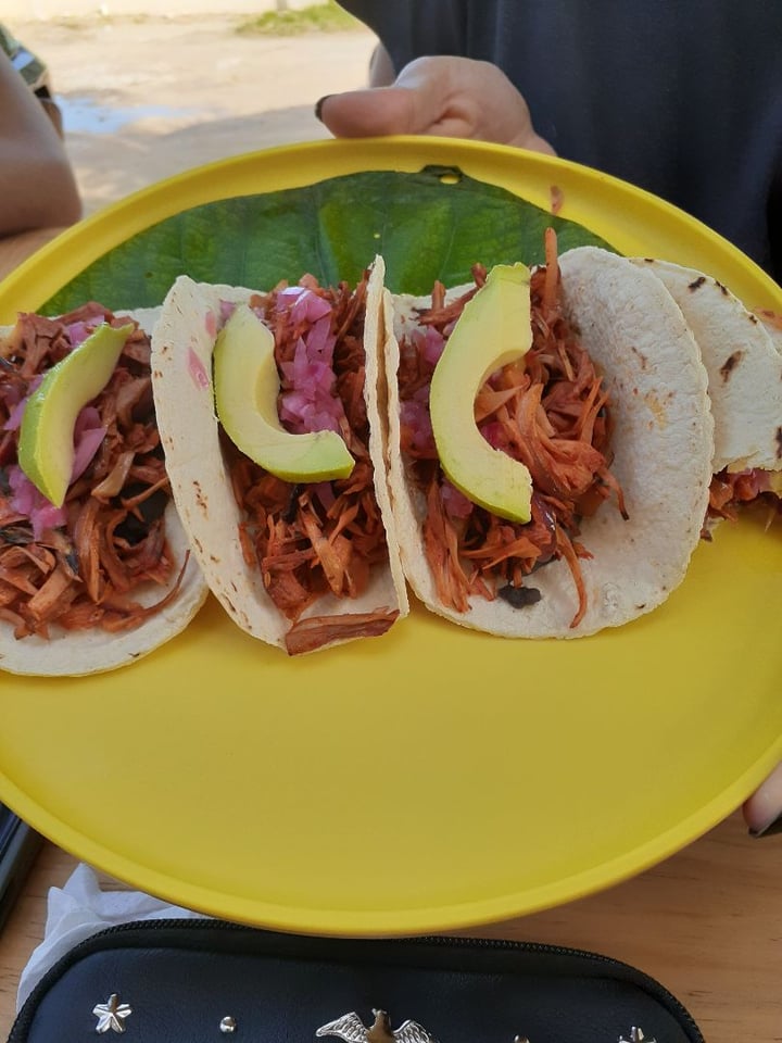 photo of Veggie 2 GO Tacos de yaca pibil shared by @barbaracf on  29 Dec 2019 - review