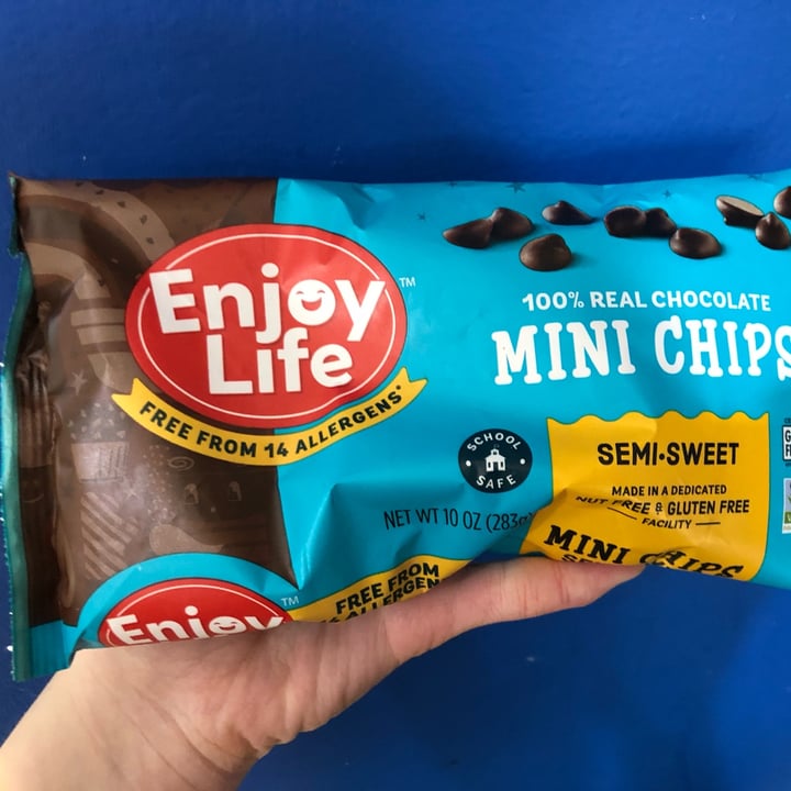 photo of Enjoy Life Mini Chocolate Chips shared by @srw4 on  06 Feb 2022 - review