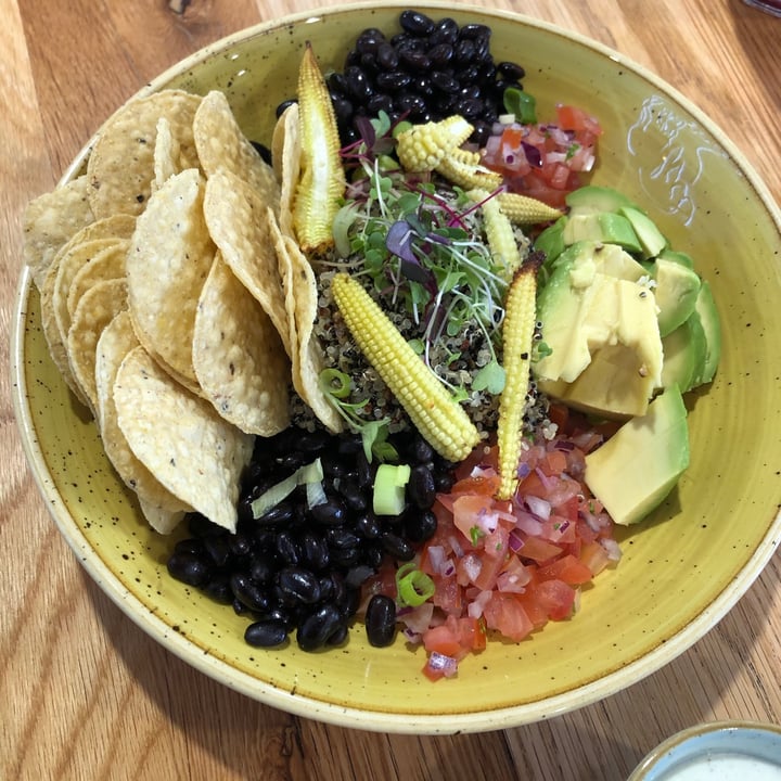 photo of Kaylee's Eatery Taco Bowl shared by @mothercitymatt on  28 Feb 2021 - review