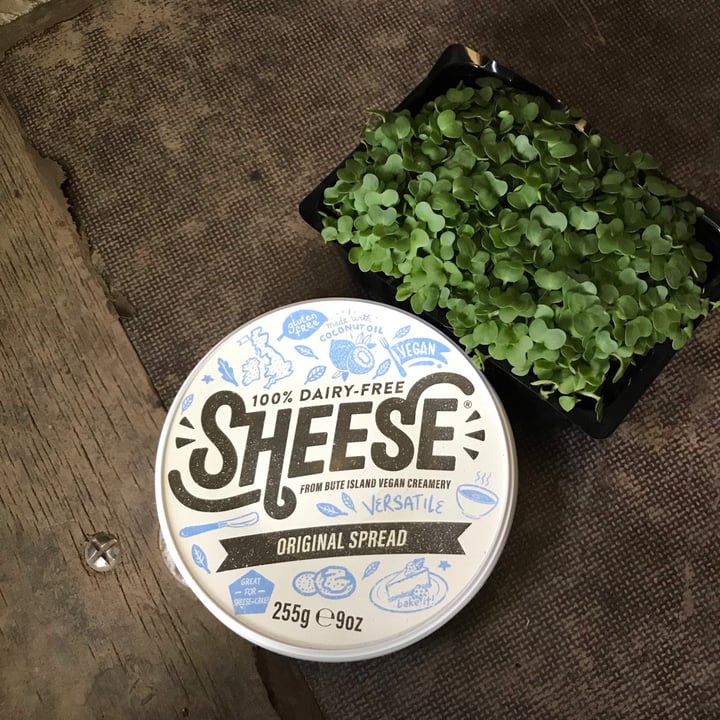 photo of Bute Island Foods Creamy Sheese Original shared by @annmarievans on  06 Jun 2021 - review