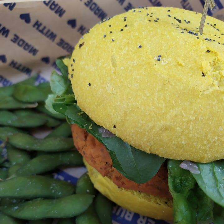photo of Flower Burger Spicy Cecio shared by @giuliettac on  08 Apr 2022 - review