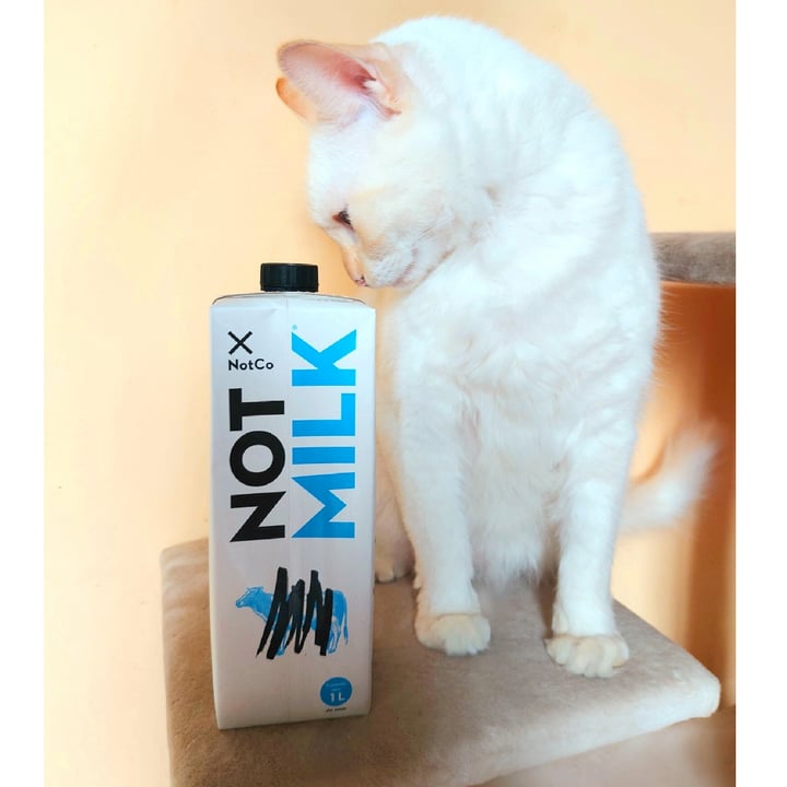 photo of NotCo Not Milk 2% Reduced Fat shared by @sofiadepaoli on  31 Jan 2021 - review