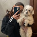 franbombini @franbombini profile image