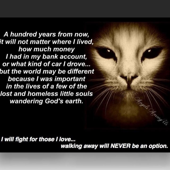 photo shared by @jsgvegan on  19 Nov 2021 - post