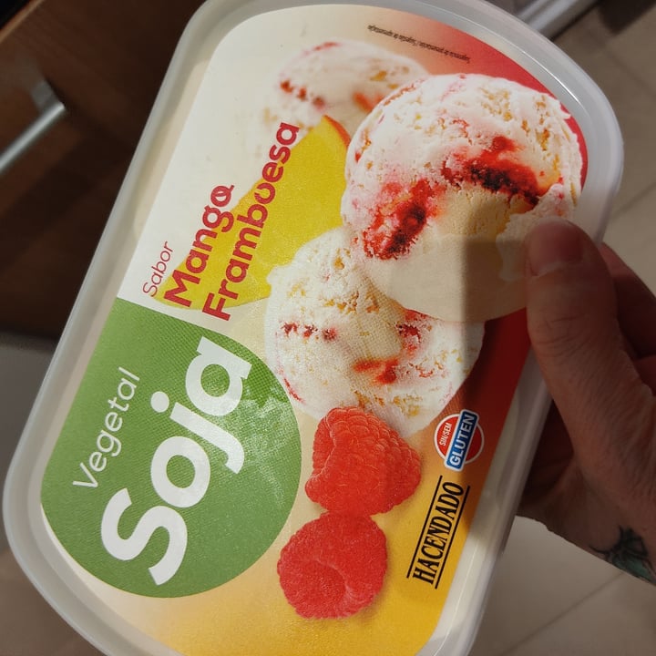 photo of Hacendado Helado de Soja con Mango y Frambuesa shared by @beatrizbs on  20 Jun 2021 - review