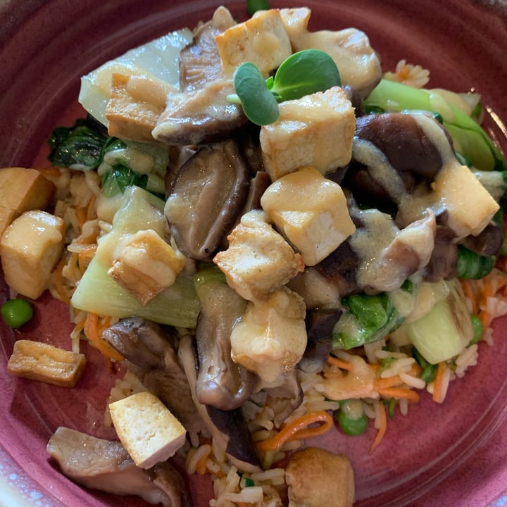 photo of Soulgreen Japanese bowl shared by @bearestelli on  12 Apr 2022 - review