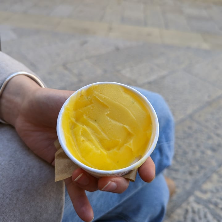 photo of I Vizi degli Angeli Laboratorio di Gelateria Artigianale Gelato Al Mandarino Con Basilico shared by @patrickdaniele on  25 Nov 2022 - review