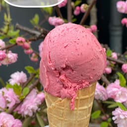 Tribeca Ice Cream