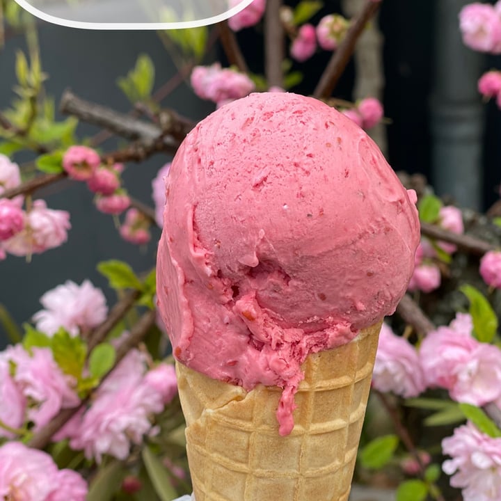 photo of Tribeca Ice Cream Ice shared by @chechu123 on  19 May 2021 - review