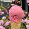 Tribeca Ice Cream