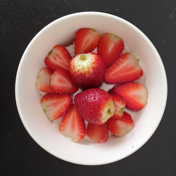 review photo of Nakula Probiotic Vanilla Yoghurt shared by @jchong on 27 Oct 2020 - review